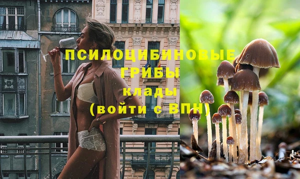 скорость Алексин