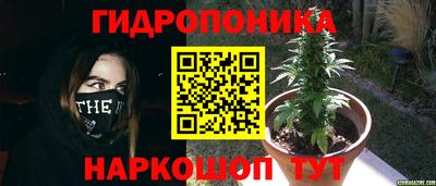 прущие крисы Кинель