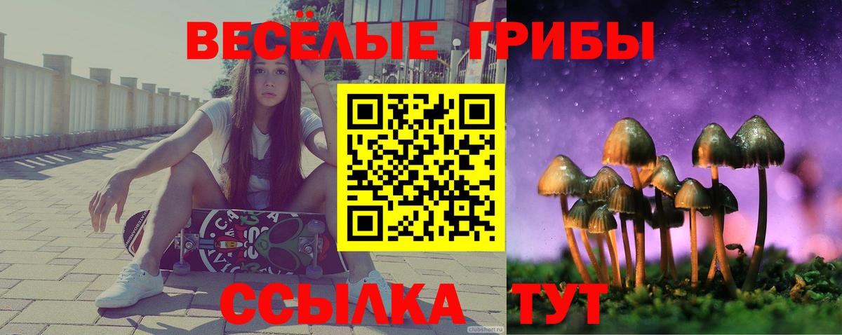 Галлюциногенные грибы GOLDEN TEACHER  Вход с VPN  Лабытнанги  Псилоцибиновые грибы Cubensis 